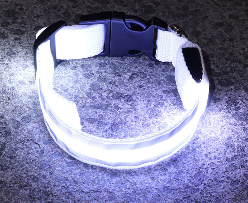 Anti-lost Led Luminous Dog Collar for safety