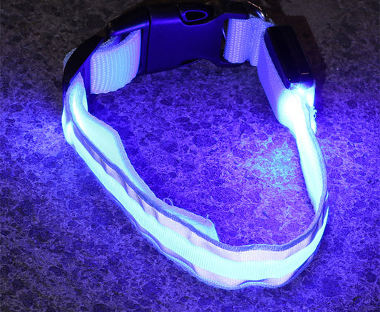 Anti-lost Led Luminous Dog Collar for safety