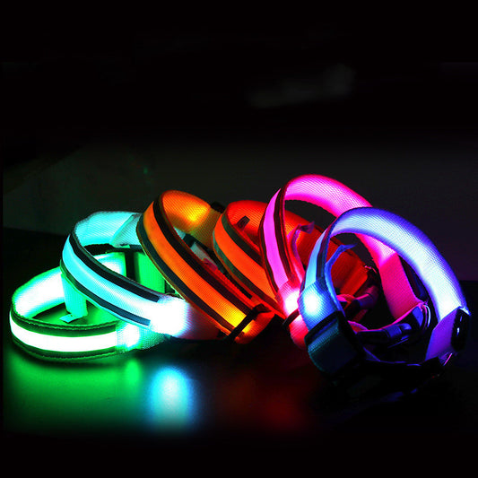 Anti-lost Led Luminous Dog Collar for safety
